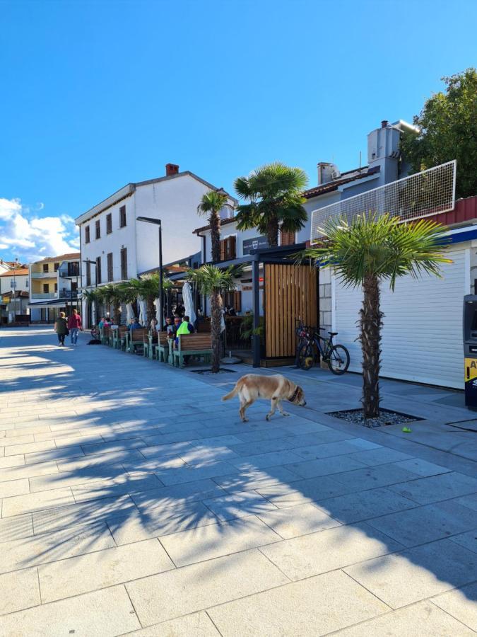 Villa Carpe Diem Vantacici Dış mekan fotoğraf