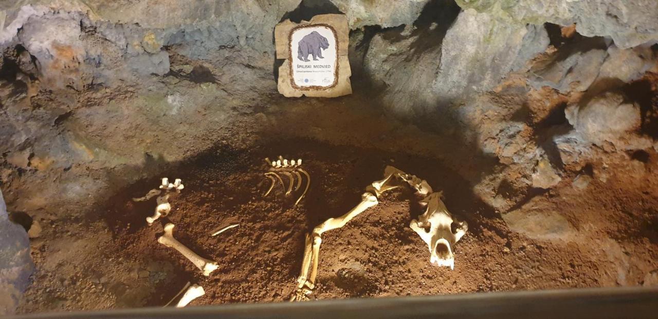 Villa Carpe Diem Vantacici Dış mekan fotoğraf