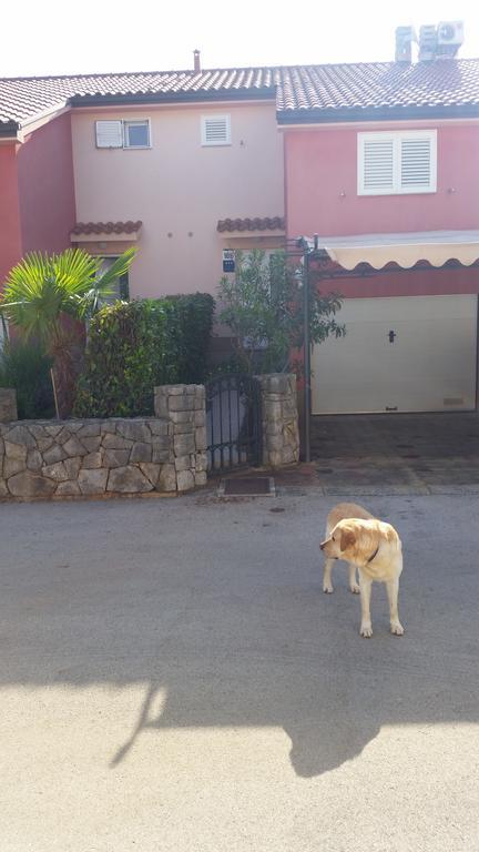 Villa Carpe Diem Vantacici Dış mekan fotoğraf